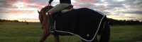 Safety First: safe horse-riding with the Orbiloc Safety Lights