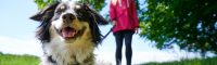 Zorg goed voor je hond (en jezelf)
