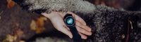 Top 5 slimme hondenaccessoires