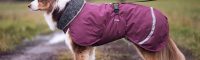 New: harness opening in Pomppa dog coats