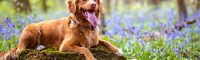 Finish spring cleaning in 6 steps