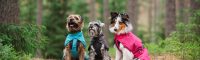 New from Pomppa: raincoat KuoriPomppa
