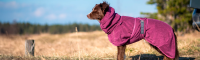 New: BathPomppa – the ultimate bathrope for dogs