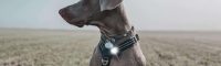 Be on time: stock up on Orbiloc Safety Lights now