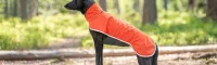 Celebrate autumn with Pomppa’s new colours