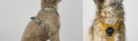 Must-haves from DOG Copenhagen